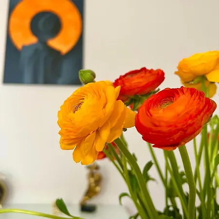 Corso Venezia 梅斯特雷