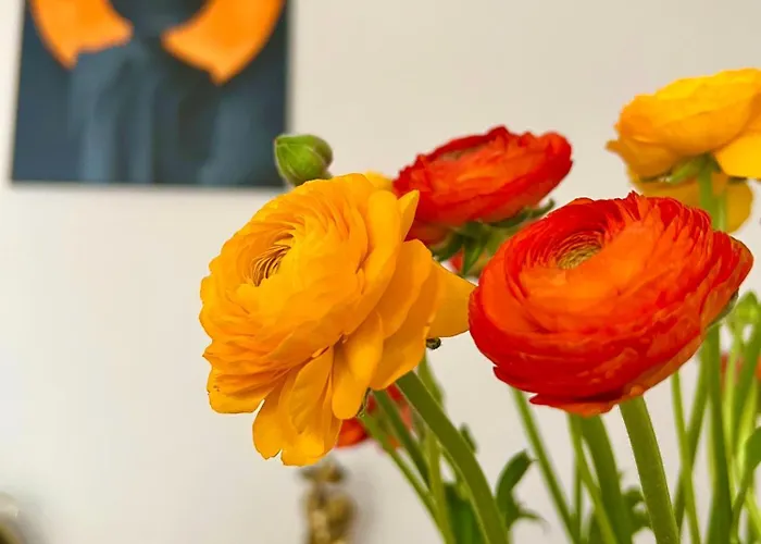 Corso Venezia 메스트레